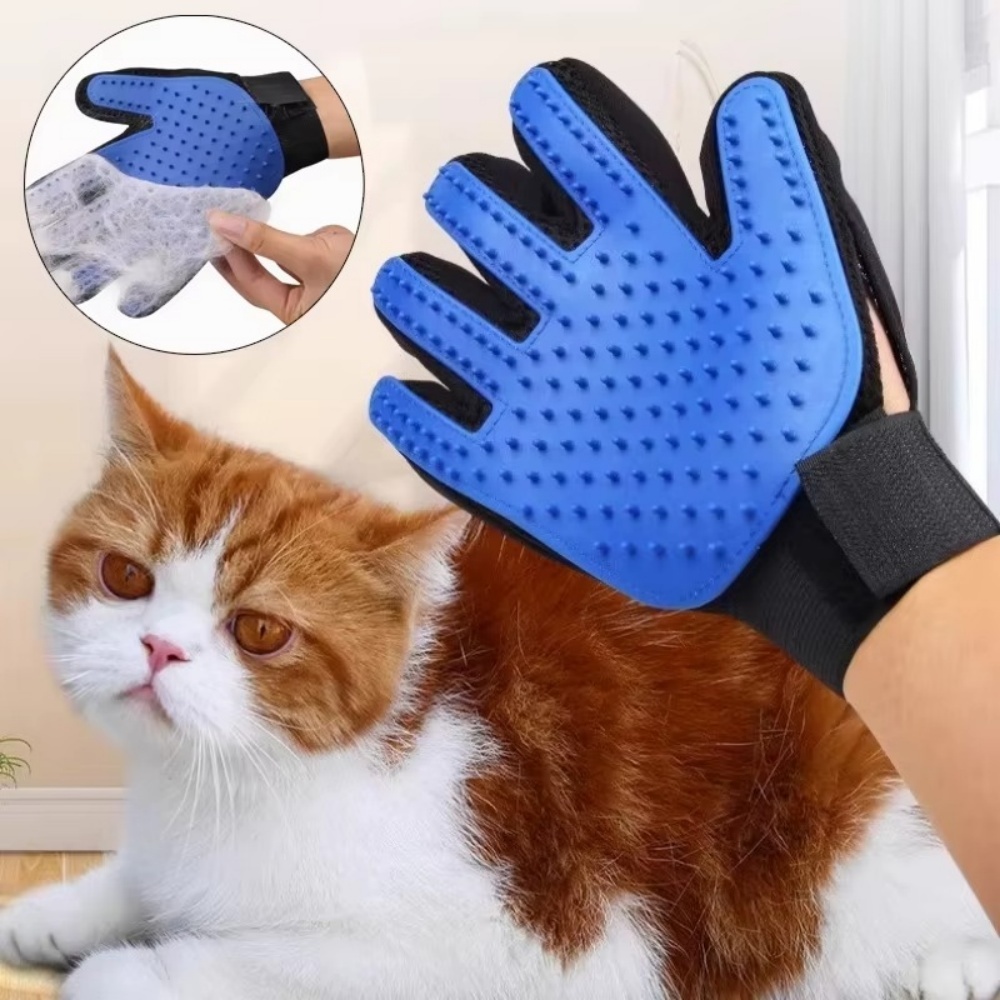 Haustier Katze Hund Pflege Han – Hair Spa Wellness Bewertung und Preis