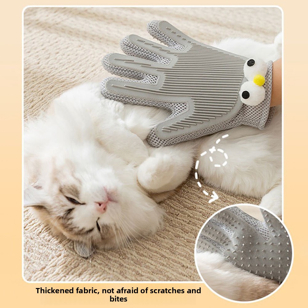 Pet Haar Entfernung Pflege Han – Hair Spa Wellness Bewertung und Preis